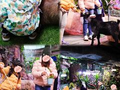 -正佳雨林生态植物园