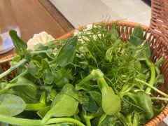 -由衷贵州酸汤牛肉火锅(新桥店)