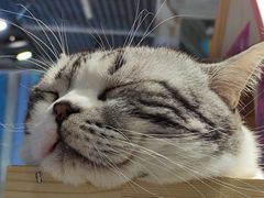 -小时光咖啡馆(开森度假森林店)
