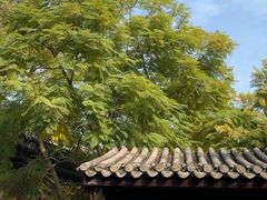 -龙潭水乡