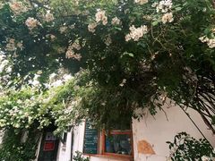 -小时光咖啡馆(北锣鼓巷店)