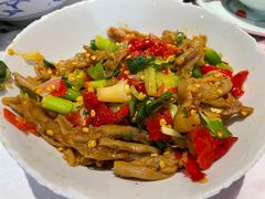 鸭掌筋-壹盏灯(惠农店)