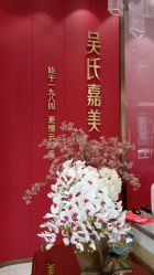 -云南吴氏嘉美医疗美容医院