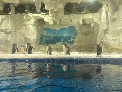 -华夏文旅西安度假区