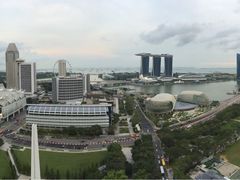 -新加坡瑞士史丹福酒店