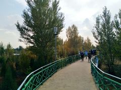 -银肯塔拉沙漠生态旅游景区