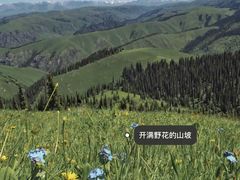 -新疆那拉提国家旅游度假区