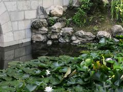 -莲湖公园