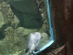 -苏州海洋馆