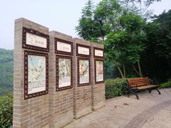 -重庆彩云湖湿地公园