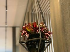 -北京三里屯CHAO酒店