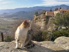 -梅黛奥拉修道院