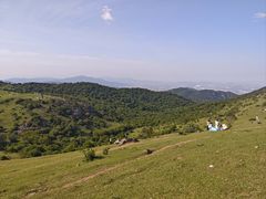 -大姆山草场