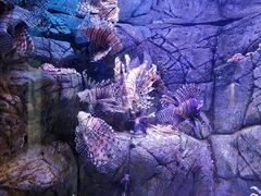 -成都浩海立方海洋公园