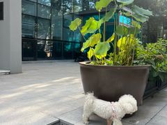 -北化机爱工场文化科技融合产业园