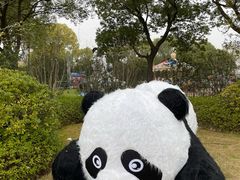 -苏州太湖国家湿地公园