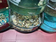 -晓伟海鲜家常菜