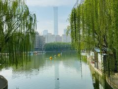 -团结湖公园
