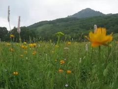 -白草畔自然风景区