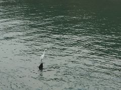 -碧桂园十里银滩