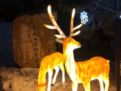 -长春世界雕塑园冰雪艺术天地