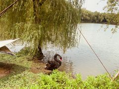 -华东政法大学(松江校区)