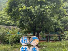 -十渡东湖港风景区