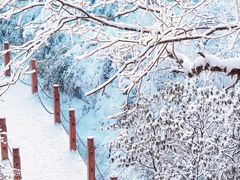 -瓦屋山景区