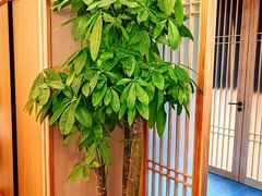 -鮨鳳