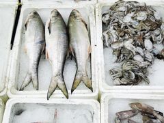 -龙宫海鲜楼(长乐漳港店)