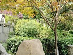 -十八棵（老龙井）御茶园(老龙井店)
