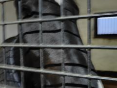 -北京群众马术培训基地