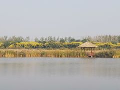 -西青郊野公园