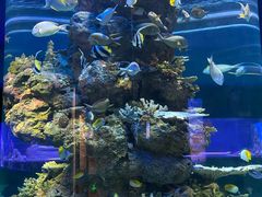 -成都浩海立方海洋公园