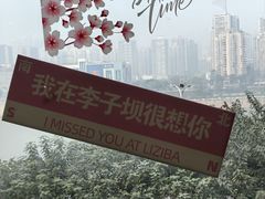 -李子坝梁山鸡(李子坝大鸡哥店)