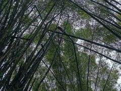 -桂林兴坪漓江