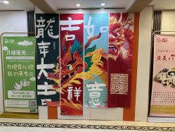 -贝美月子中心(海璟店)