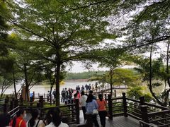 -大湾区中央湿地公园