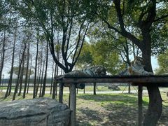 -上海野生动物园