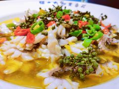 藤椒鱼-三猫黑鱼花(南大店)