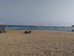 -碧海金沙