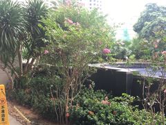 -三亚凤凰水城凯莱度假酒店