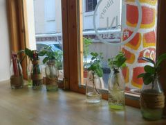 android_upload_pic-长颈鹿咖啡(大学路店)