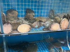 -宾朋海鲜特色美食餐厅·纯手工鲅鱼水饺(兴海路店)