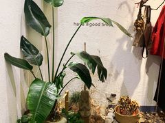 -如禾素食·下午茶·糖水