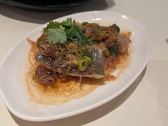 -金燕岛潮州酒楼