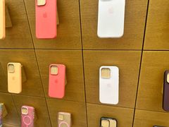 -Apple零售店(苏州店)