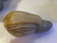 顶级象拔蚌-龙门养心粥火锅(祥恒广场店)