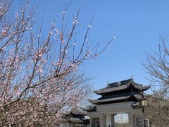 -苏州上方山国家森林公园