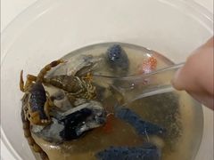 -国英炖品店(甲子路店)